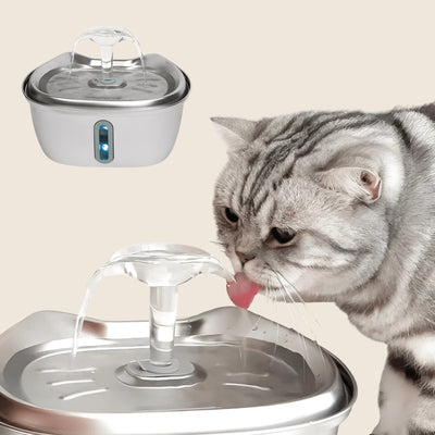 PurrStream op beige achtergrond