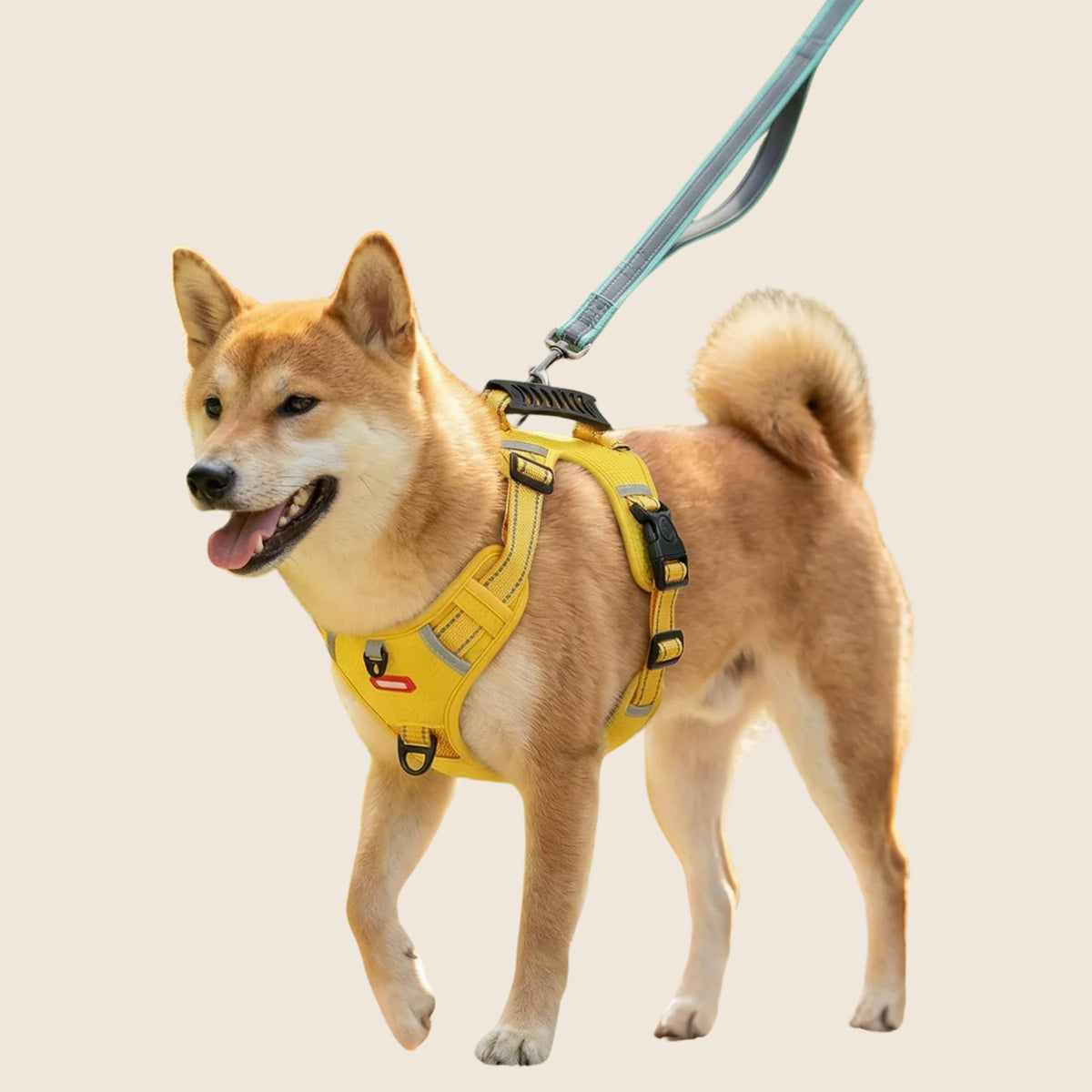 SafeWalk op beige achtergrond