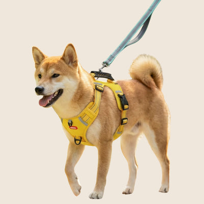 SafeWalk op beige achtergrond