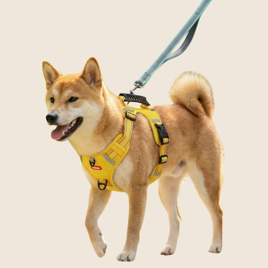 SafeWalk op beige achtergrond