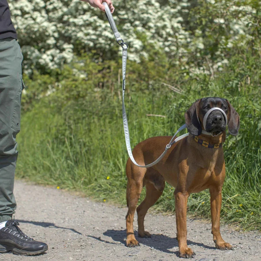 WalkEasy – Anti-Trek Hondenriem