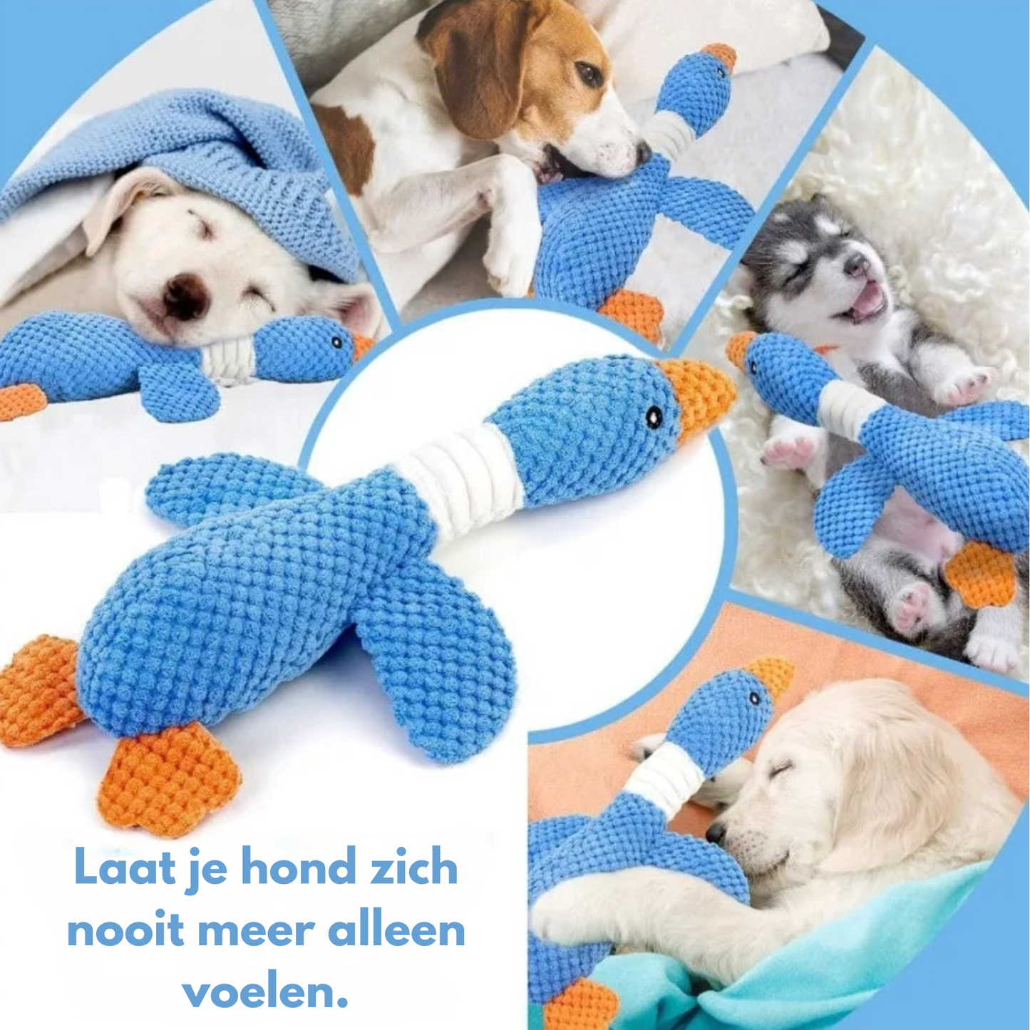 BuddyBite – De knuffel die angst en stress wegneemt