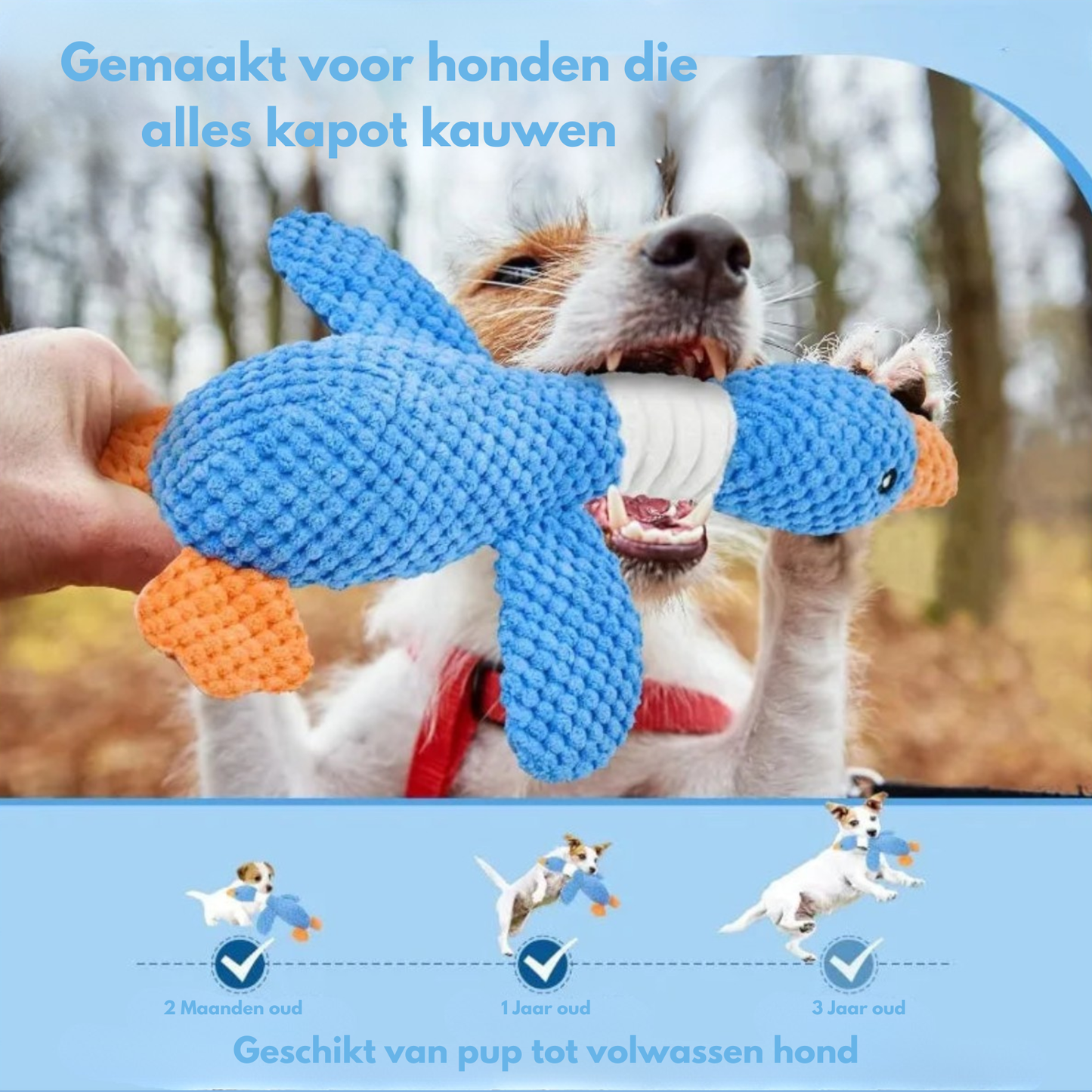 BuddyBite – De knuffel die angst en stress wegneemt
