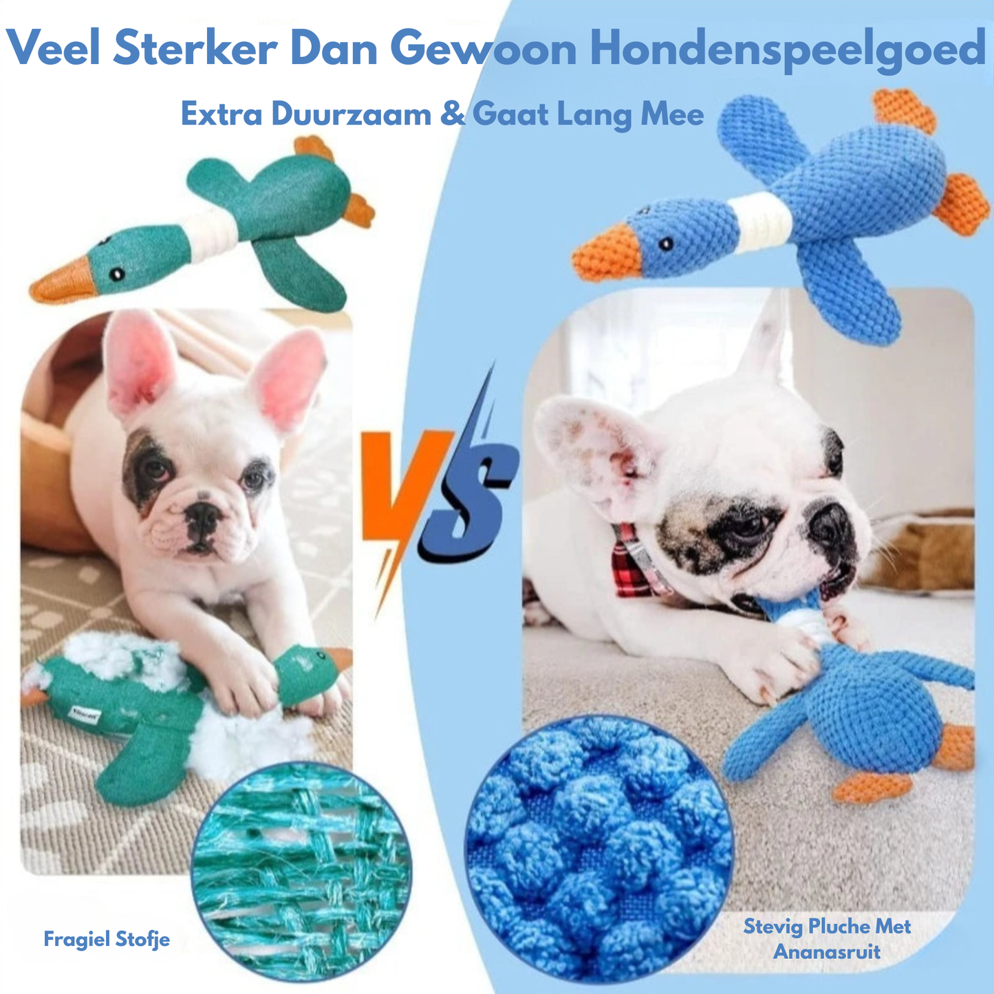 BuddyBite – De knuffel die angst en stress wegneemt