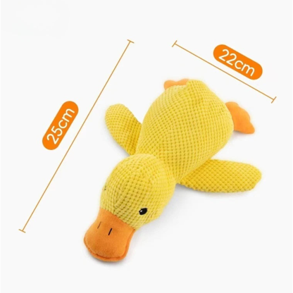 BuddyBite – De knuffel die angst en stress wegneemt