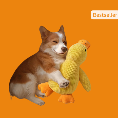 BuddyBite – De knuffel die angst en stress wegneemt