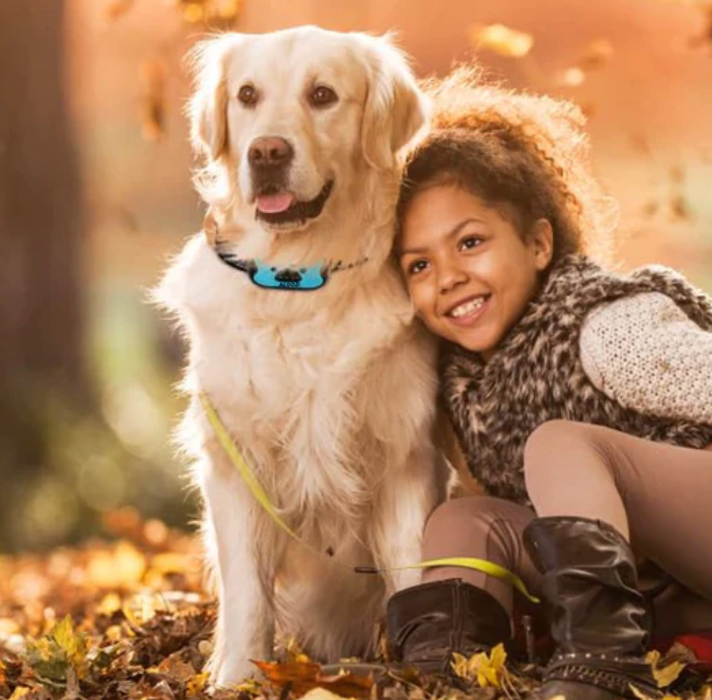 HushPaw - Anti-blafband hond stopt blaffen zonder schokken
