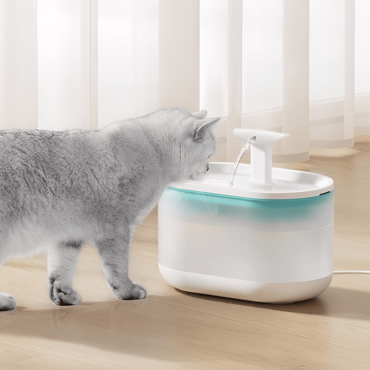 PurrSpring – Altijd Vers, Bacterievrij Water Voor Je Kat