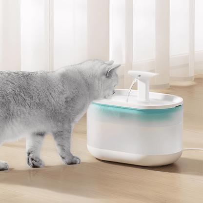 PurrSpring – Altijd Vers, Bacterievrij Water Voor Je Kat