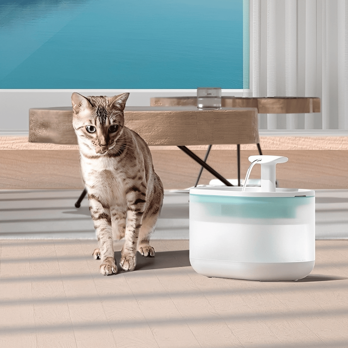 PurrSpring – Altijd Vers, Bacterievrij Water Voor Je Kat
