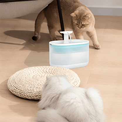 PurrSpring – Altijd Vers, Bacterievrij Water Voor Je Kat