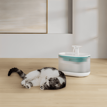 PurrSpring – Altijd Vers, Bacterievrij Water Voor Je Kat