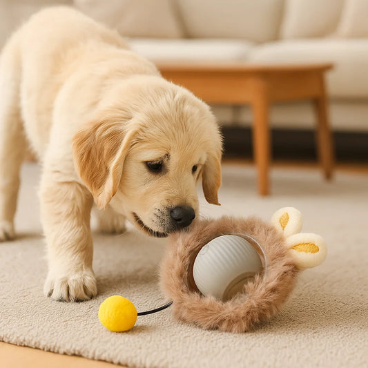 FluffBall pluizige hondenbal