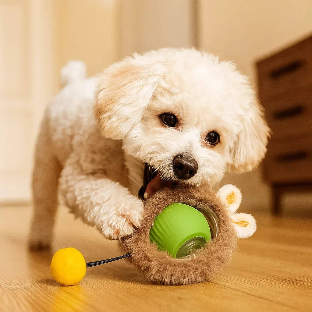 Hond speelt met FluffBall