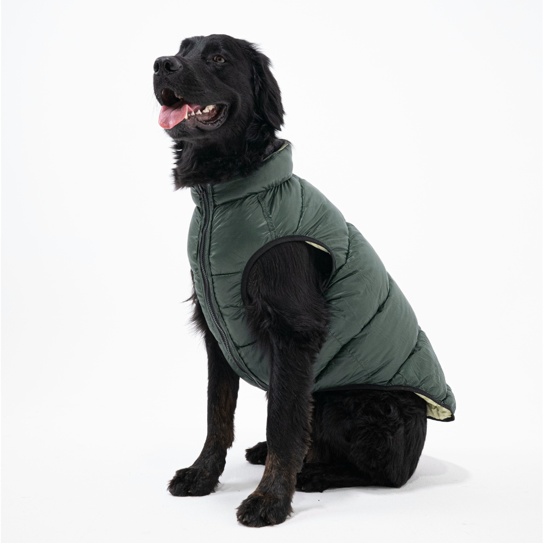 CozyCloak - Warme omkeerbare hondenjas voor de winter