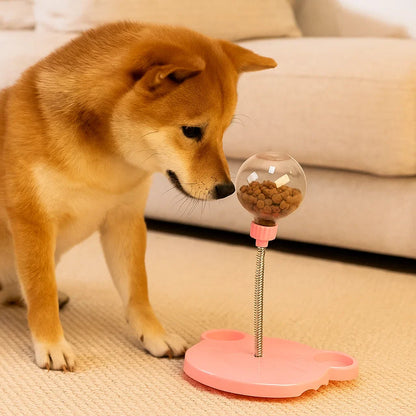 Hond speelt met WobbleSnack