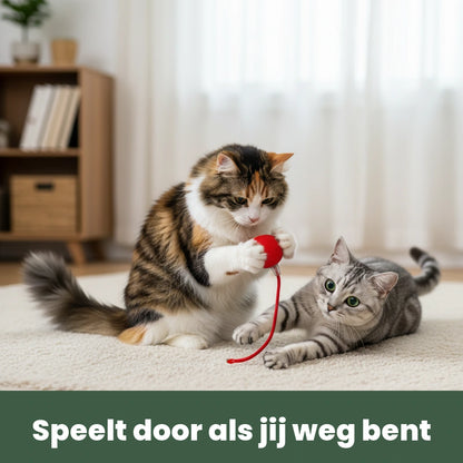 Catfri in gebruik in huis