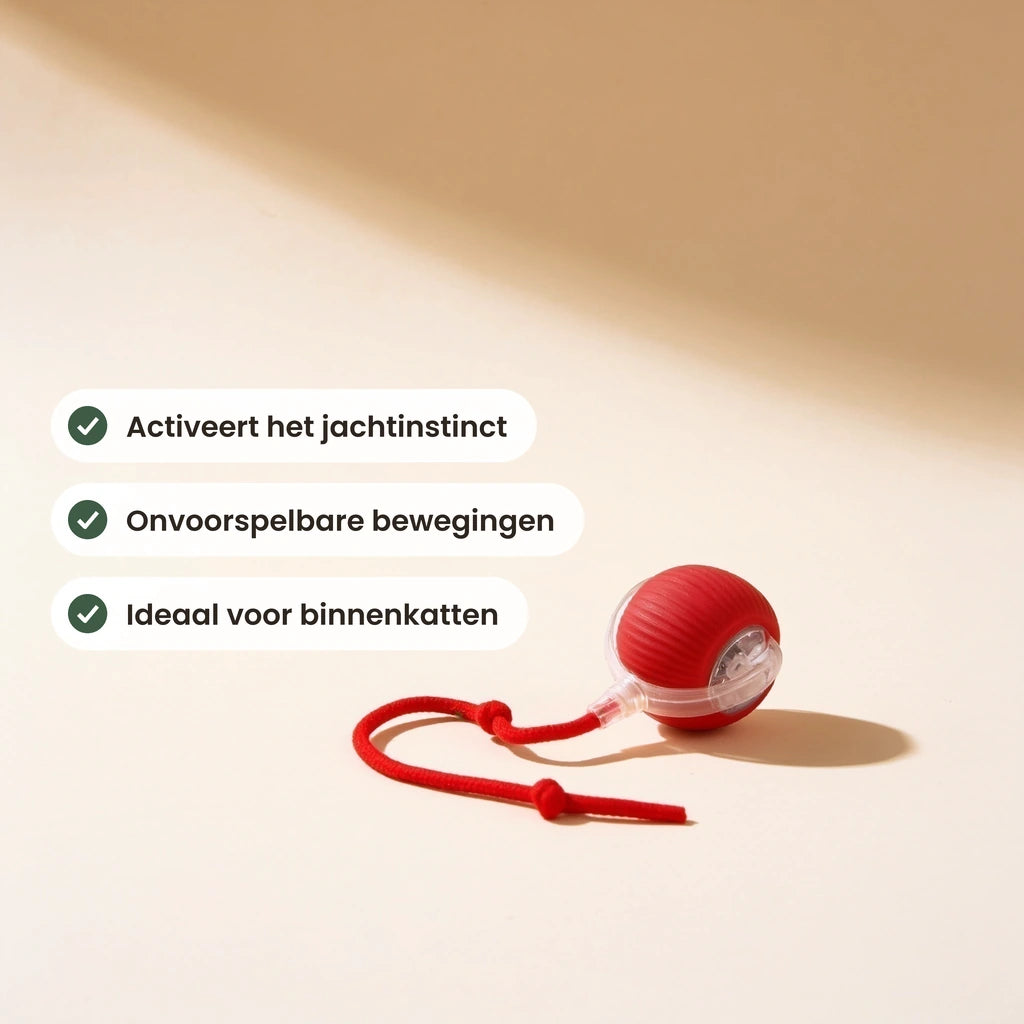 Catfri met de belangrijkste kenmerken