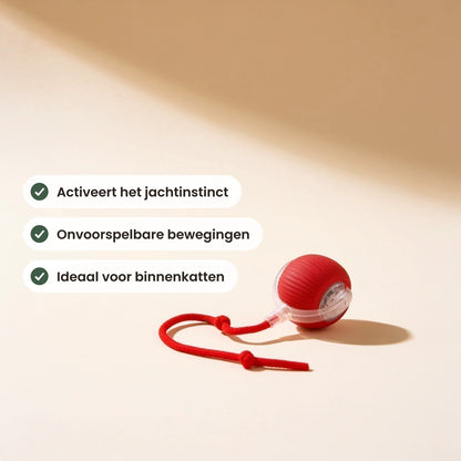 Catfri met de belangrijkste kenmerken