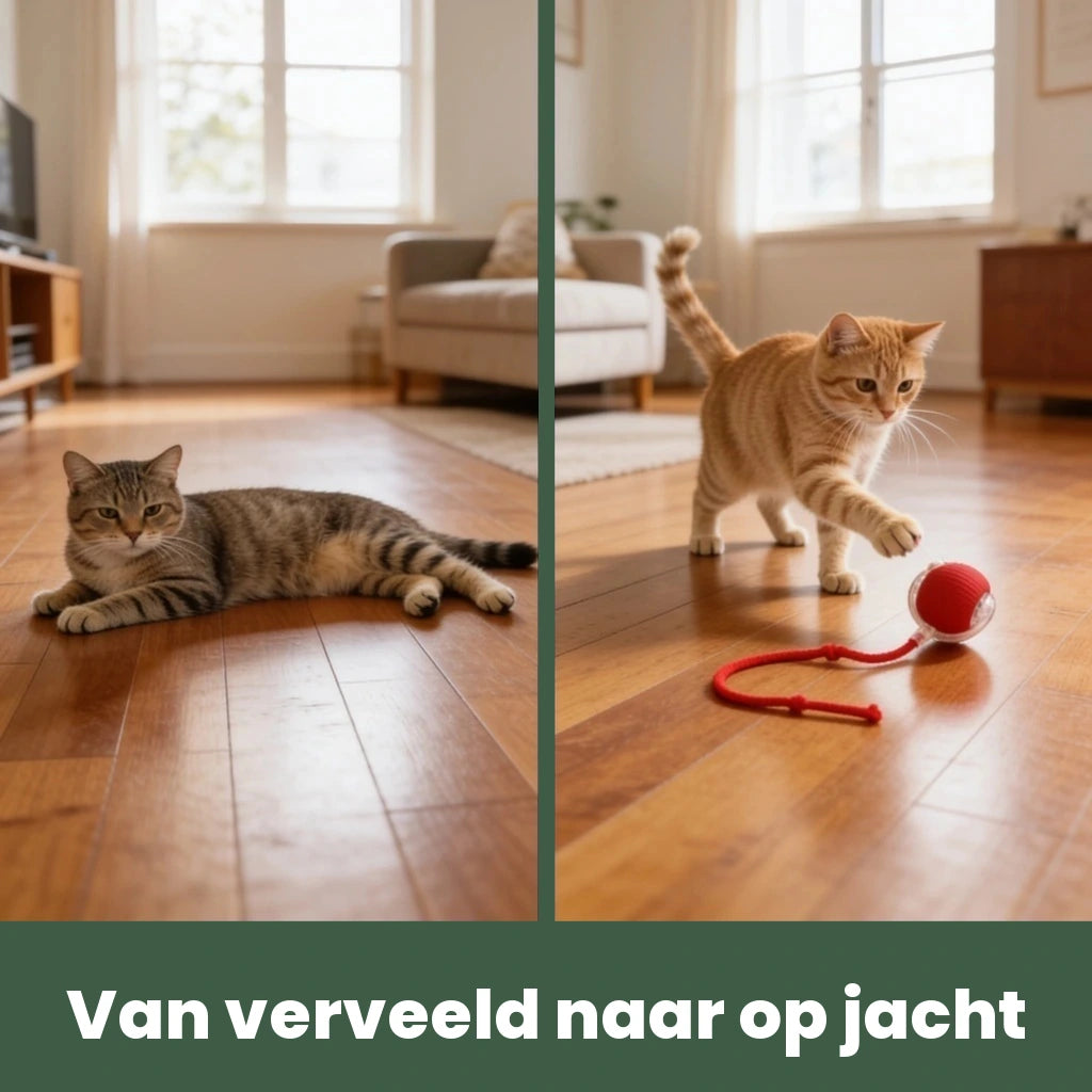 Catfri voor en na, hetzelfde moment vergeleken