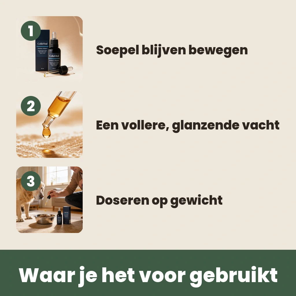 Waar CollaVital voor wordt gebruikt: soepel bewegen, glanzende vacht, doseren op gewicht
