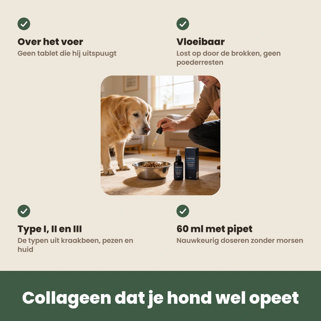 De voordelen van CollaVital: over het voer, vloeibaar, type I II en III, 60 ml met pipet