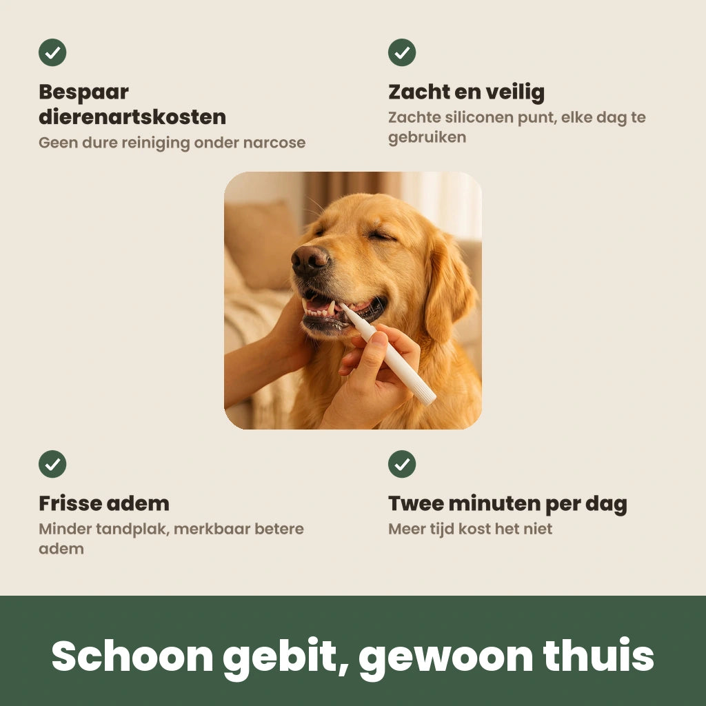 De voordelen van de DentaPen in een oogopslag