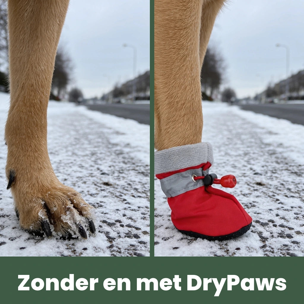 Hondenpoot zonder en met DryPaws op dezelfde stoep