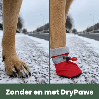 Hondenpoot zonder en met DryPaws op dezelfde stoep