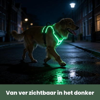 GlowGuard in gebruik in huis