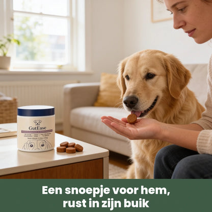 Golden retriever eet een GutEase kauwbrokje uit de hand van zijn baasje