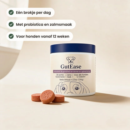 GutEase probiotica kauwbrokjes, één brokje per dag
