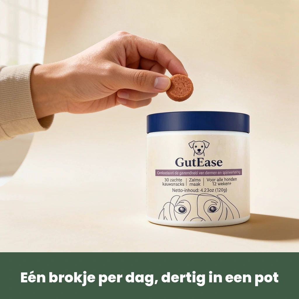 Eén GutEase kauwbrokje tussen duim en wijsvinger naast de pot