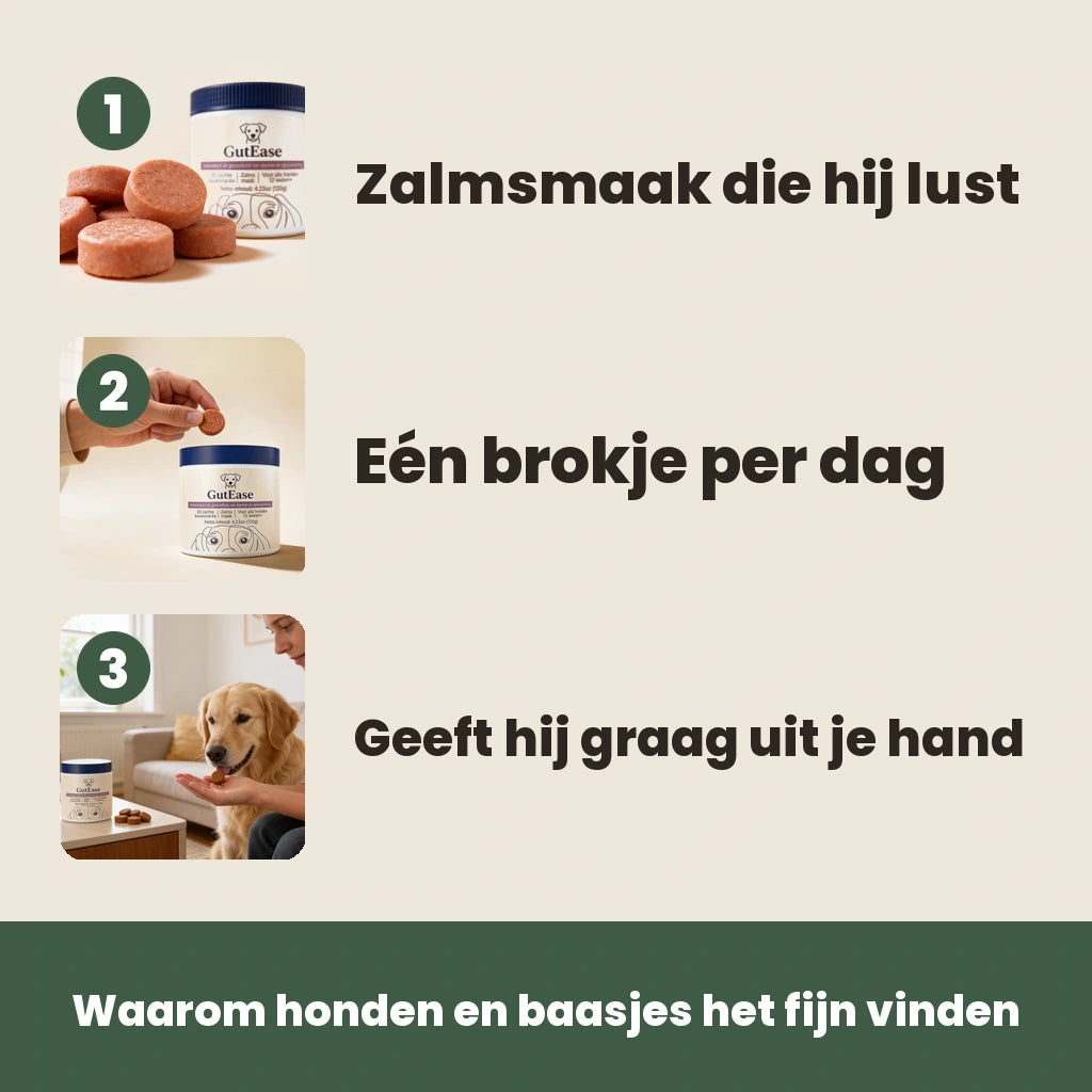 Drie redenen waarom honden en baasjes GutEase fijn vinden