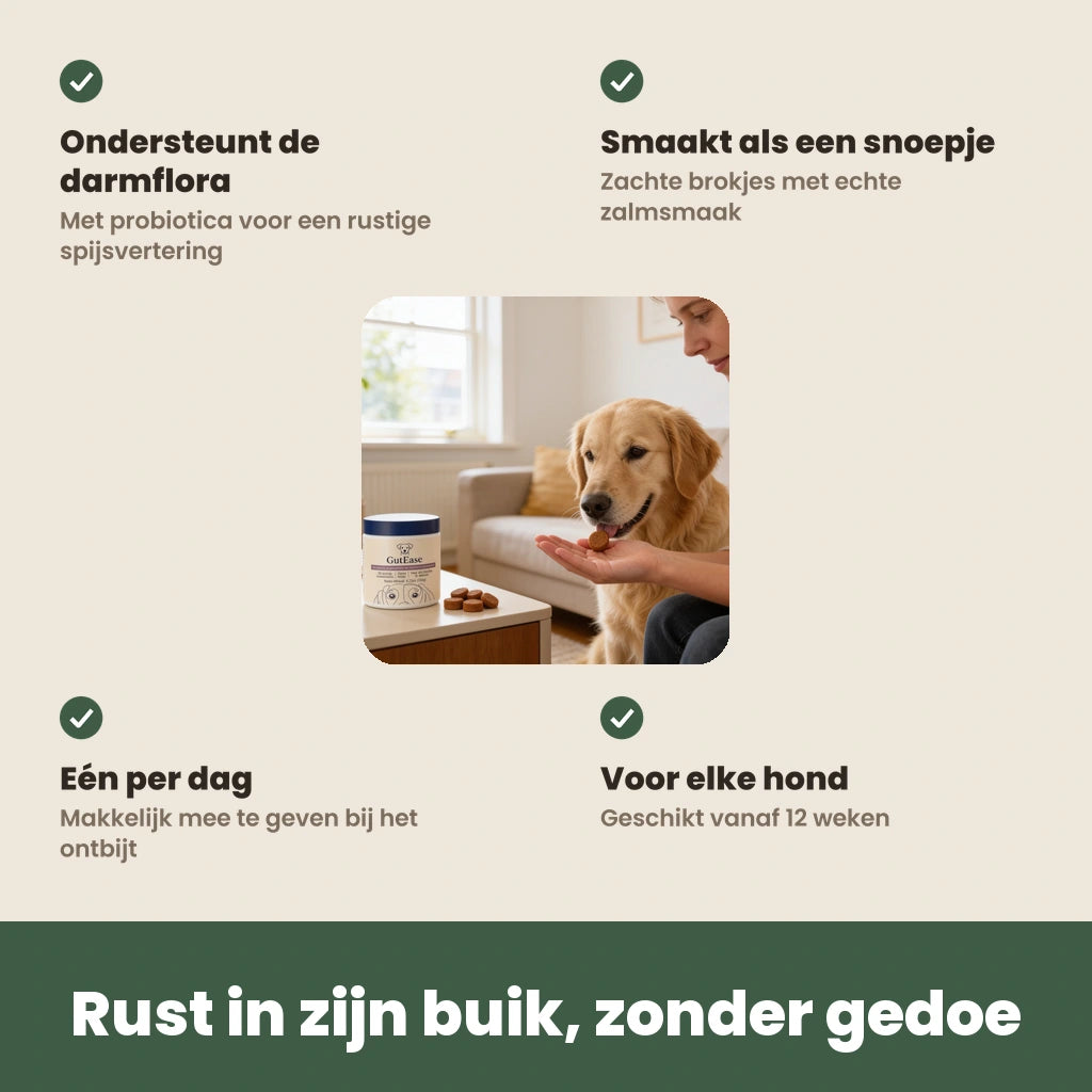 De voordelen van GutEase op een rij