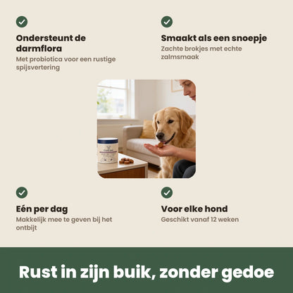 De voordelen van GutEase op een rij