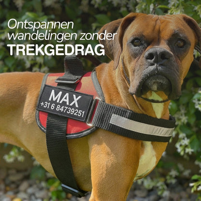 SafeTag anti-trek tuig detail