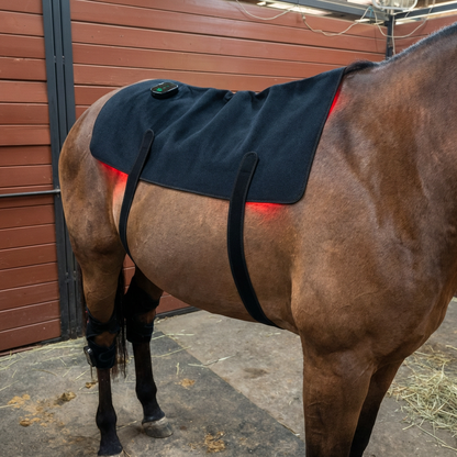 BackGlow - Ontspannen rug en soepelere bewegingen voor je paard
