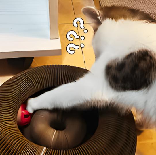 KattenWervel product afbeelding