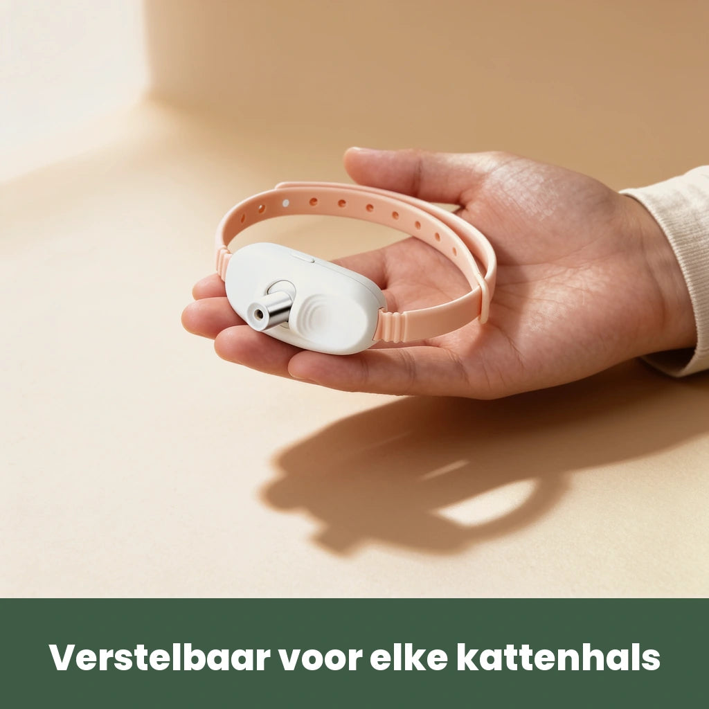 Laser Teaser Collar in de hand, formaat en verhouding