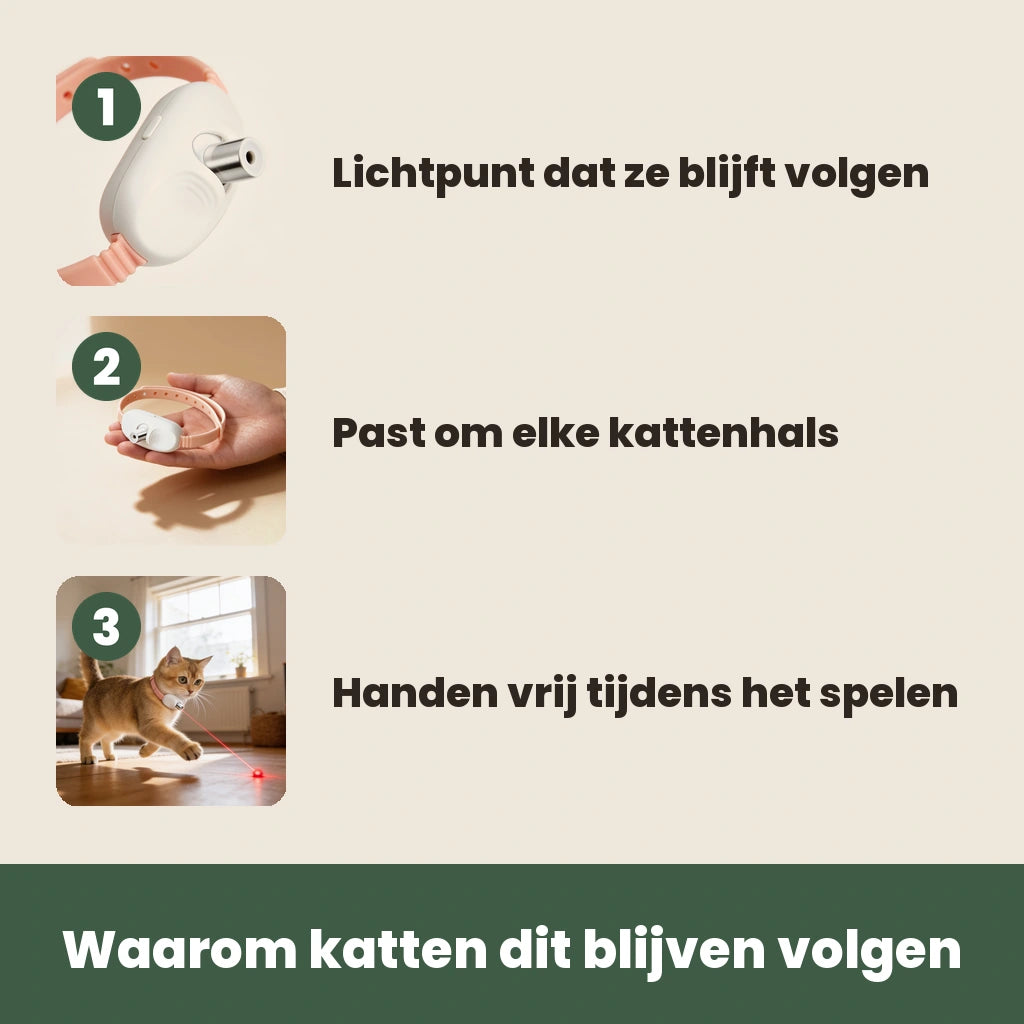 Zo werkt de Laser Teaser Collar