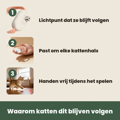 Zo werkt de Laser Teaser Collar