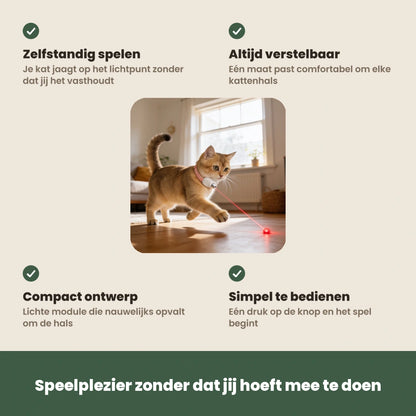 De voordelen van de Laser Teaser Collar op een rij