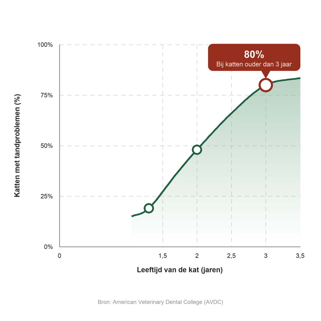 Grafiek: 80% van de katten boven de 3 jaar heeft een gebitsaandoening