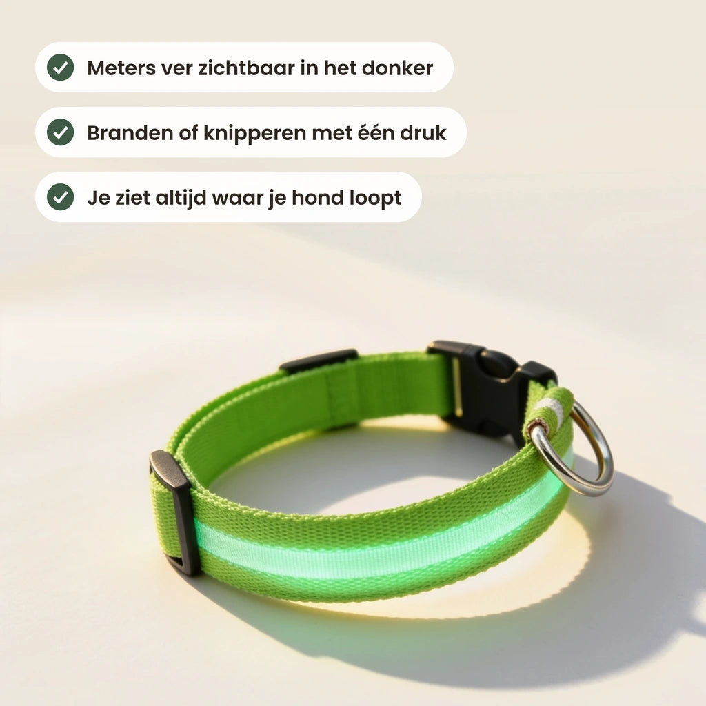 Groene NightBeam LED halsband met gesp en D-ring, meters ver zichtbaar in het donker