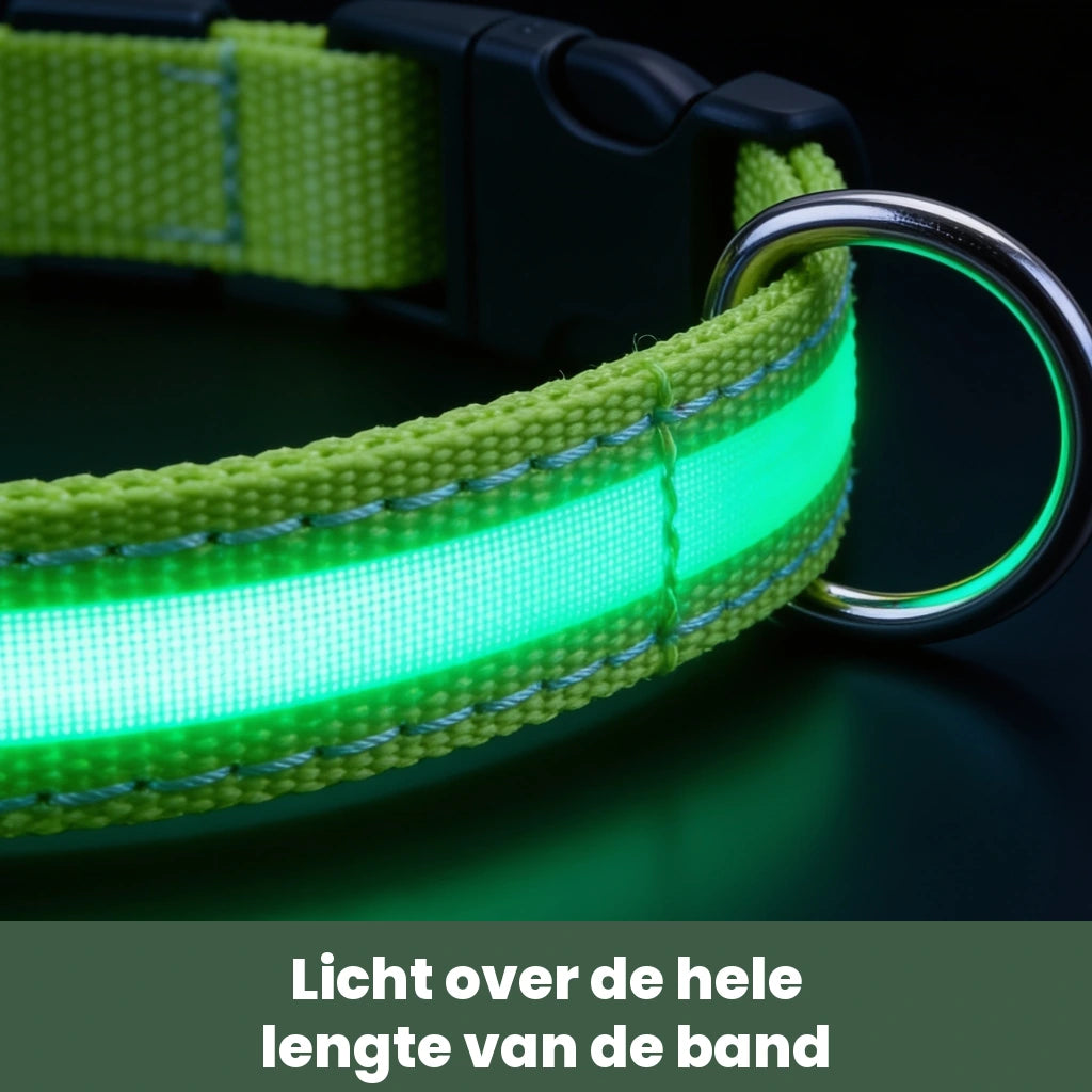 Close-up van de groen oplichtende LED strook over de hele lengte van de NightBeam halsband
