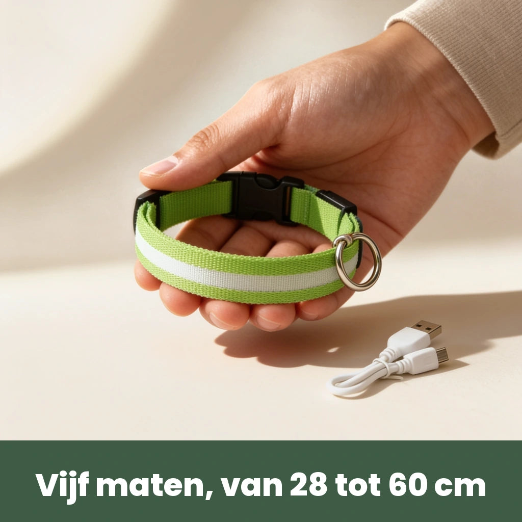 NightBeam LED halsband in de hand met USB oplaadkabel, verkrijgbaar in vijf maten