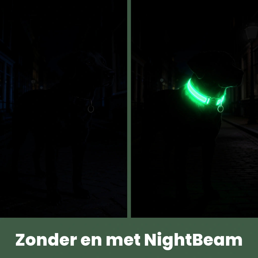 Voor en na: hond zonder NightBeam onzichtbaar in het donker, met NightBeam duidelijk zichtbaar