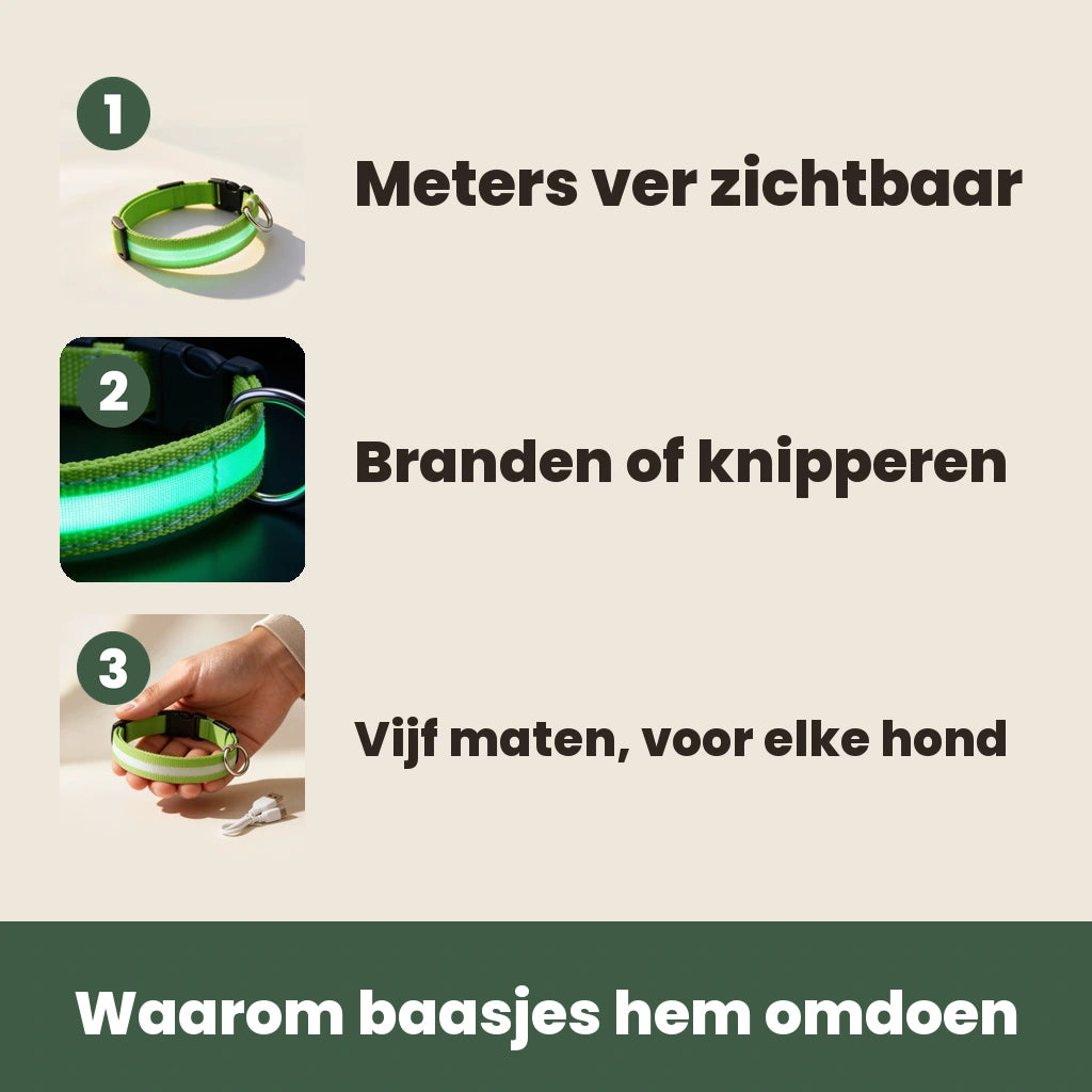 De drie kenmerken van de NightBeam LED hondenhalsband