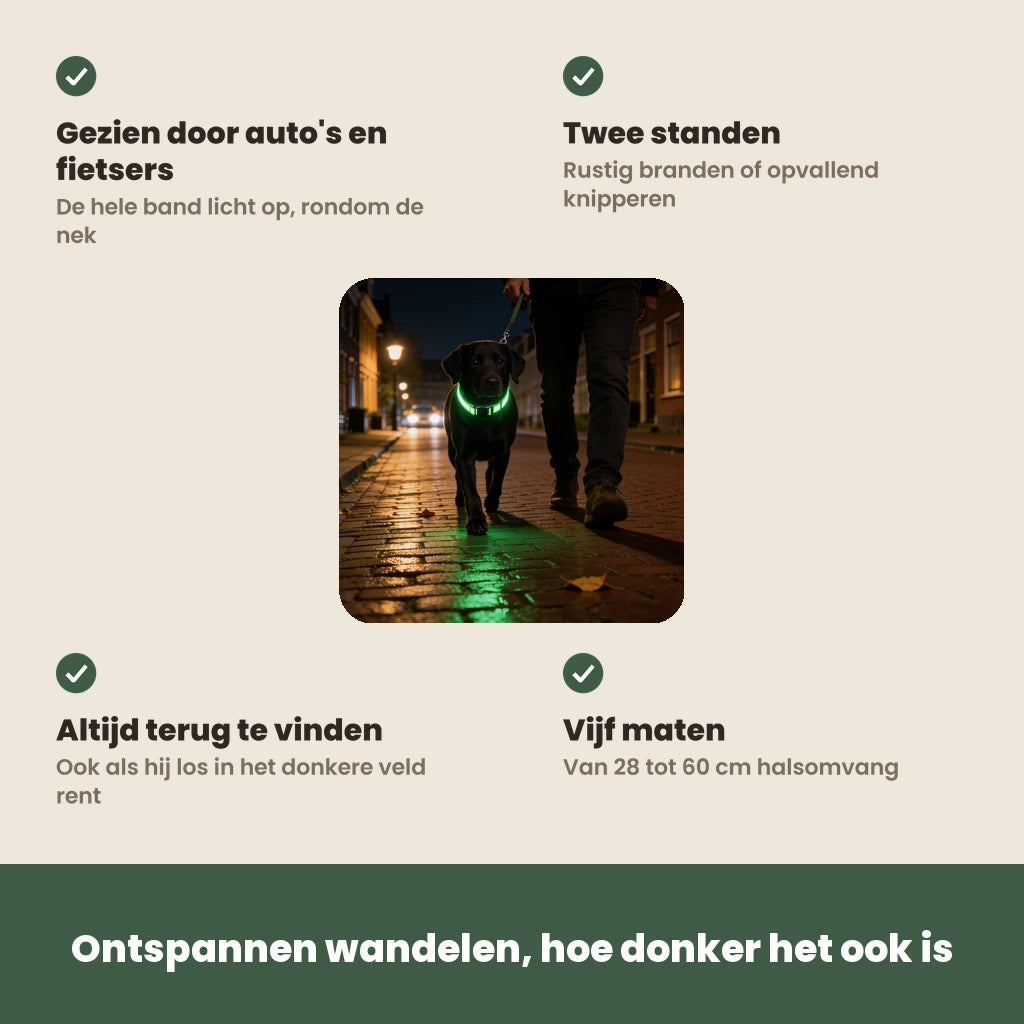 De voordelen van de NightBeam LED hondenhalsband op een rij